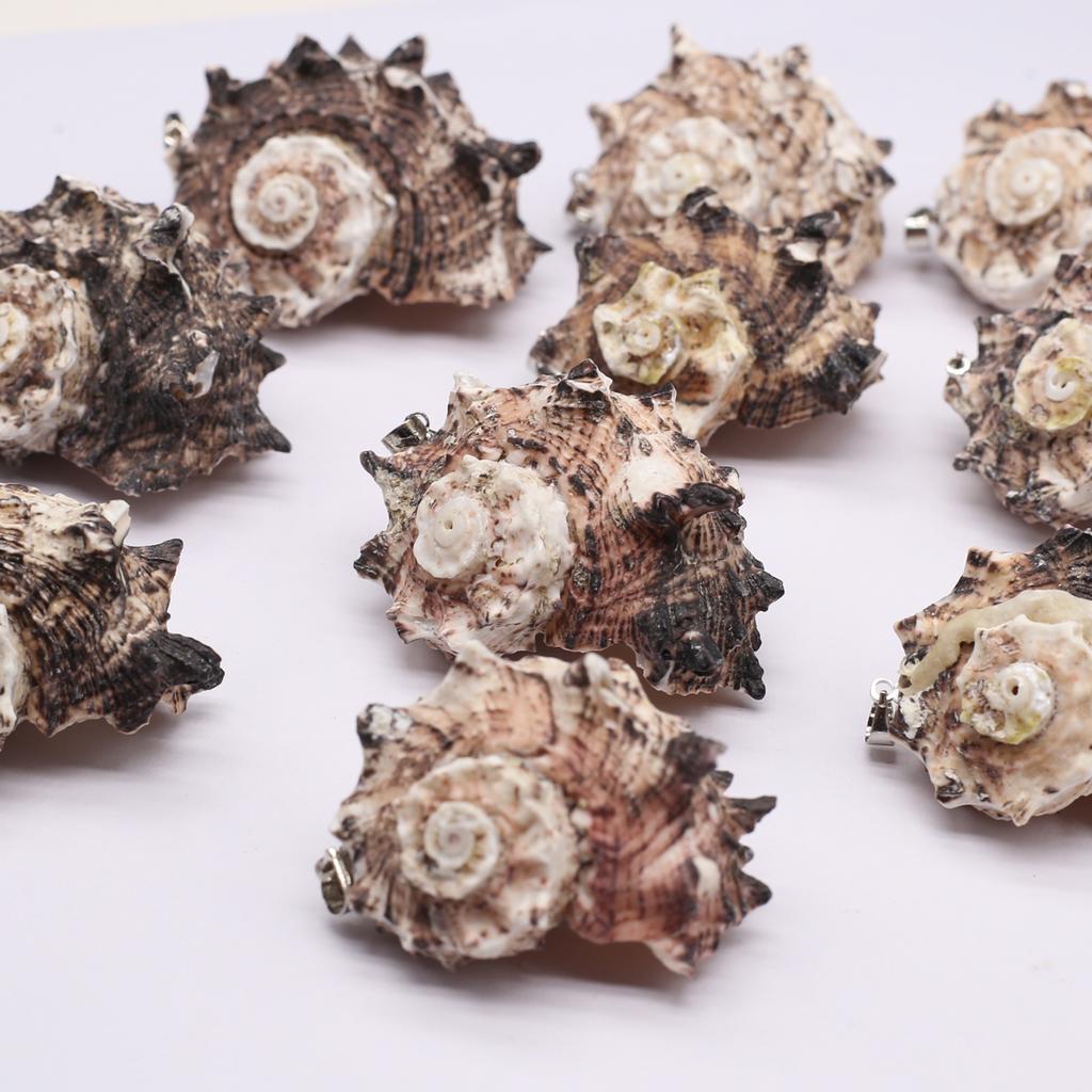 10Pcs Black Conch Pendant Shell Necklace Pendant 20-40mm For Jewelry Making DIY Necklace Bracelet Earrings Accessory
