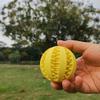 Dog Ball Toy, Dog Food-Leaking Toy, Rubber Chew Toys For Dog, Molar Toy, Pet Interactive Toy