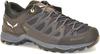 Hiking Shoes Salewa Mountain Trainer Lite GTX (61361) Black/black