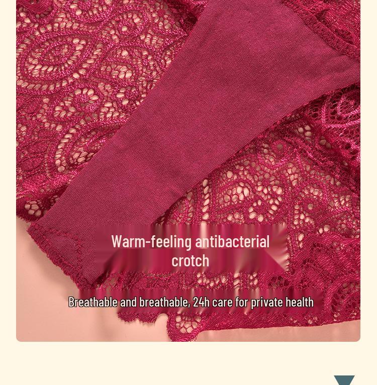 Perizoma di pizzo da donna taglia forte: Mutandine in Cotone Ultrasottili e Sexy per Stili Europei e Americani
