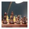 2 in 1 Chess/Checkers Set Magnetic Game Set Folding Board Convenient to Carry (Chess + Checkers Set)