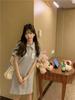 Women's Polo Collar Embroidered A-Line Dress - Summer 2025 College Style