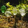 Zubehör für Zimmerpflanzen Glas-Bewässerungskugel Selbstbewässernder Pflanzeinsatz Tierische Spikes für Pflanzen Blumenformen Urlaubs-Glühbirne Automatischer Wasserspender