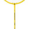 Deli Angnet F2106 Carbon-Aluminum Badminton Racket