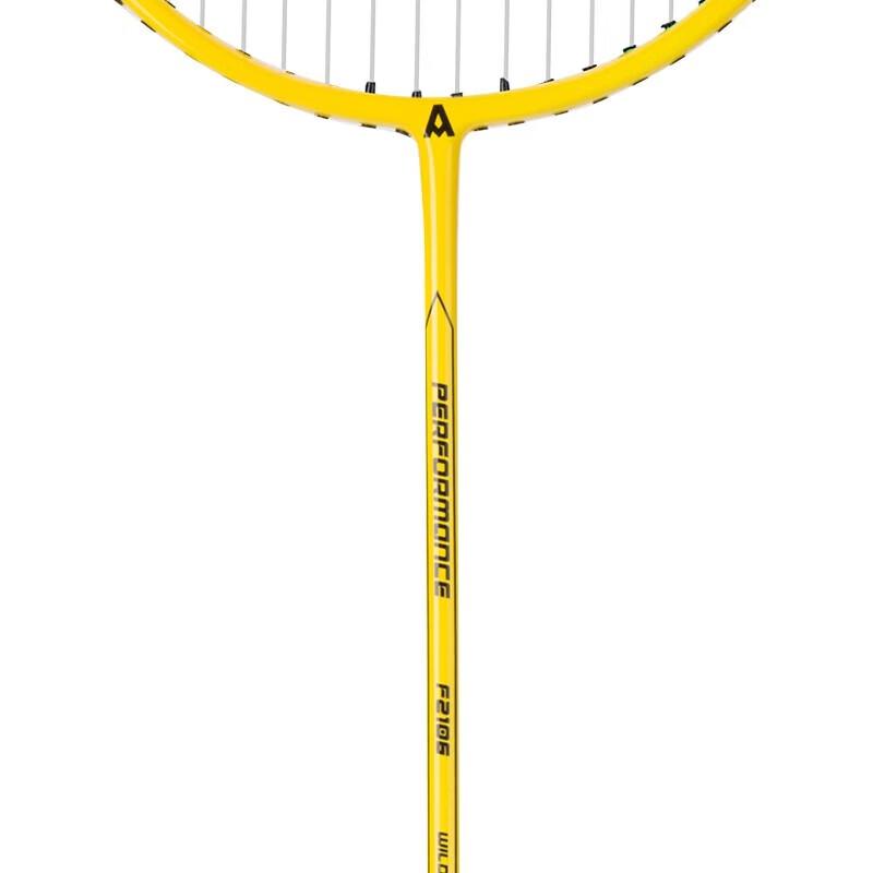 Deli Angnet F2106 Carbon-Aluminum Badminton Racket