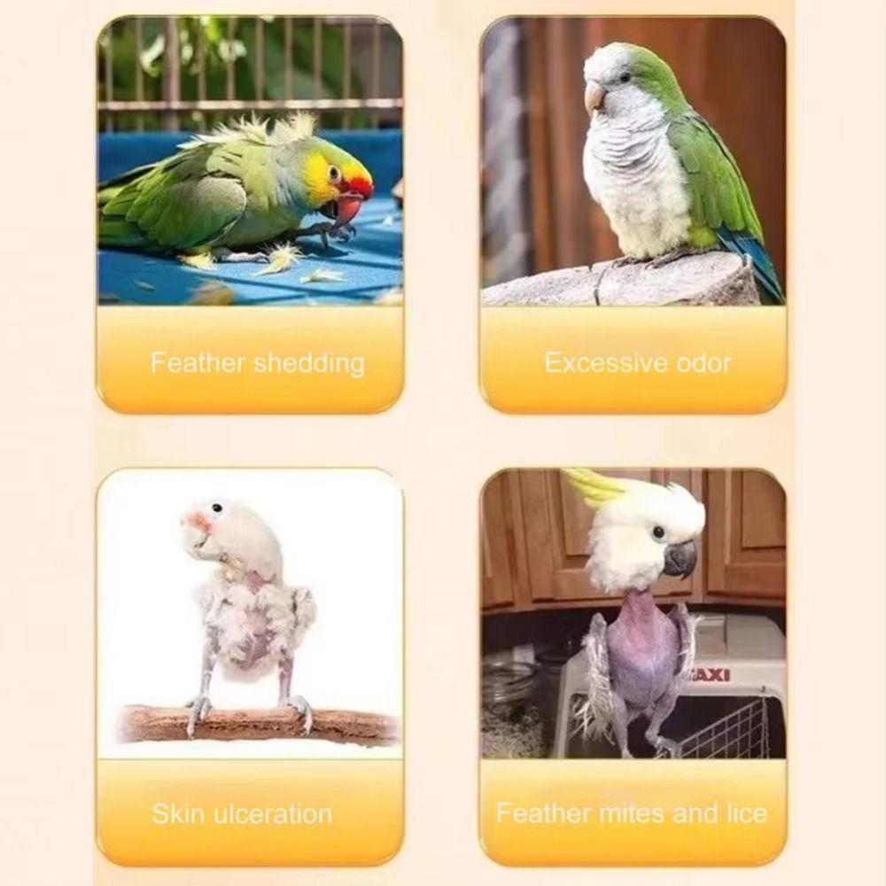 Automatic Circulation Parrot Shower Basin Detachable Bird Shower Fountain for Lovebird