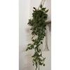Home Artificial Vine;Pine;Fern;Ivy Plants with Pot Natural Look & Plastic Material  with Small Size Pot Size 27 X 75 X 7 Cm, Pack of 1 (Green)