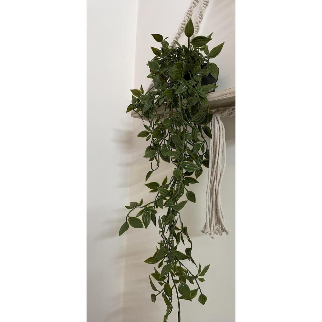 Home Artificial Vine;Pine;Fern;Ivy Plants with Pot Natural Look & Plastic Material  with Small Size Pot Size 27 X 75 X 7 Cm, Pack of 1 (Green)