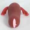 Mastburator for menn Uteruseks vagina Livmorhalsmunn Voksenprodukter Flykopp Ekte hud Føl Sex Rolleleketøy