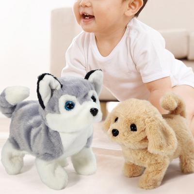 Jouet électronique interactif en peluche pour animaux de compagnie qui promènent un chien Retriever pour enfants