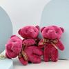 Portachiavi Ciondolo Tuta Peluche Orsacchiotto - Piccolo Giocattolo Regalo