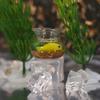 30pcs Mini Vases Miniature Fish Tanks DIY Plastic Containers Home Decorative Vases Exquisite Creative Small Fish Tank Desk Decor