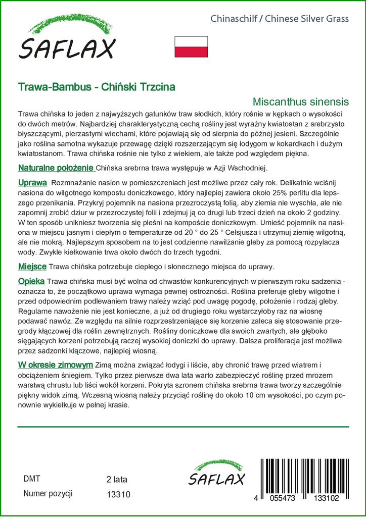 SAFLAX Stříbrná tráva čínská - 200 semen - Miscanthus sinensis