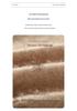 7-Gauge Double-Strand Ribbed Roll-Neck Women's Cashmere Sweater for Autumn/Winter