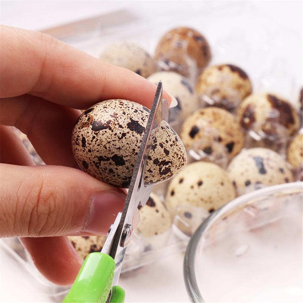 2PCS Stainless Steel Quail Egg Scissors Egg Shell Cutting Scissors Egg Divider Egg Opener Kitchen