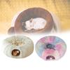Plush Cat Tunnels Beds Indoor Haven Endless Fun Comfort Store Washable Removable