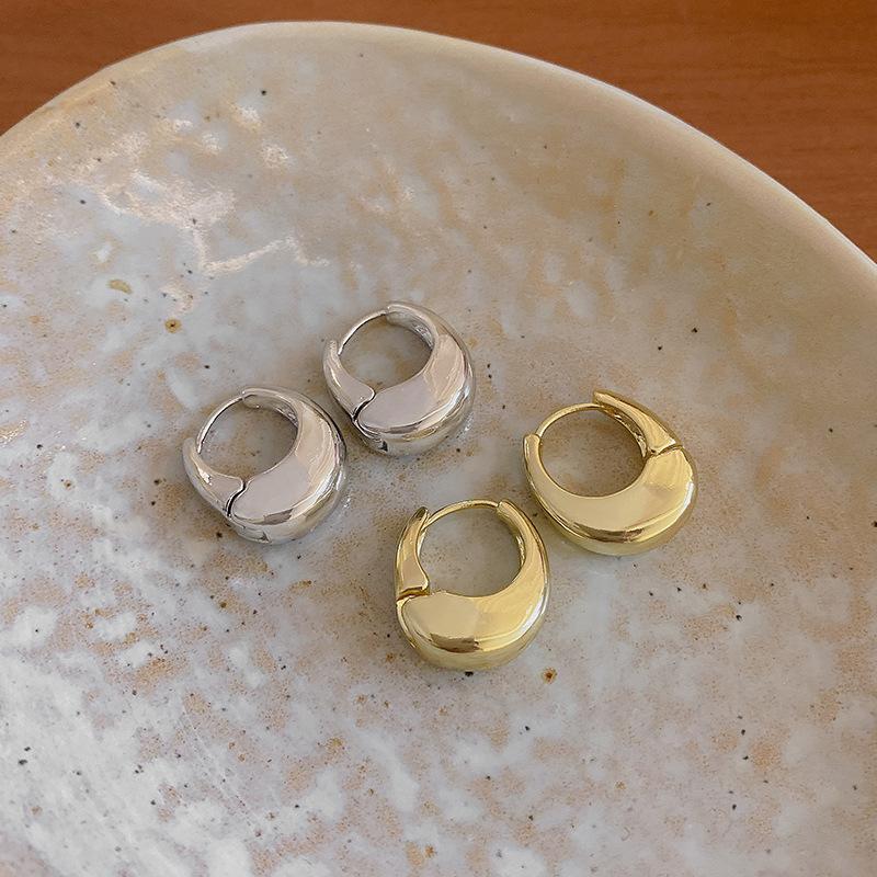 Geometric Plain Ring Metal Earrings Femininity Light Luxury Niche Design High-end Stud Earrings Cold Wind Ear Jewelry
