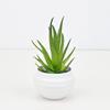 Succulent Aloe Vera Artificial Potted Plant For Office Desk Decor And Indoor Space