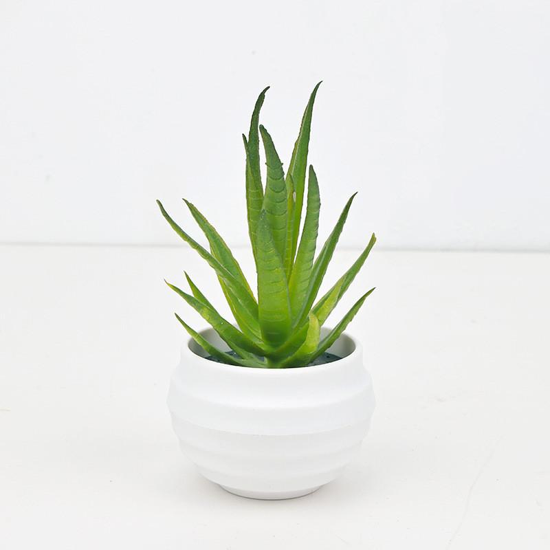 Succulent Aloe Vera Miniature Green Potted Plant For Home Office Desk Decor