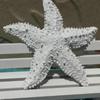 Mini Resin Simulation Starfish - Aquarium Decoration, Mediterranean Style, Cute and Exquisite Starfish Jewelry