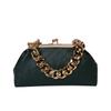 Leather Weaving Bag with Thick Chain Handle Dumpling Bag New Design Crossbody Bag for Luxury Women's Party Cluth Bags