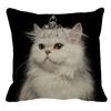 Persian Cat Linen Pattern Double-sided Printed Pillow Cover Short Plush Suitable Living Rooms Bedrooms Sofas Throw Cushion Cover