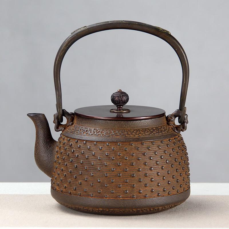 Tea Cycle Cast Iron Water Kettle