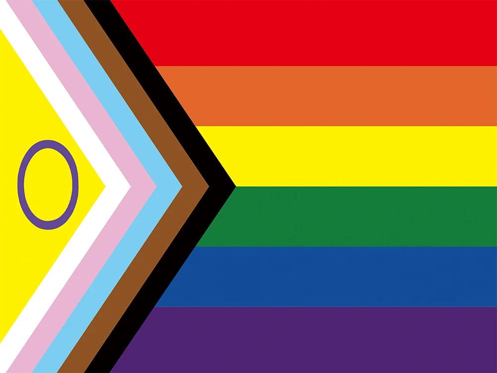 Bandiera Arcobaleno Progress Pride Bandiera Mese dell'Orgoglio Gay Lesbico LGBT Colore Vivace Resistente allo Sbiadimento Tela di Poliestere Intestazione Cucita Doppia