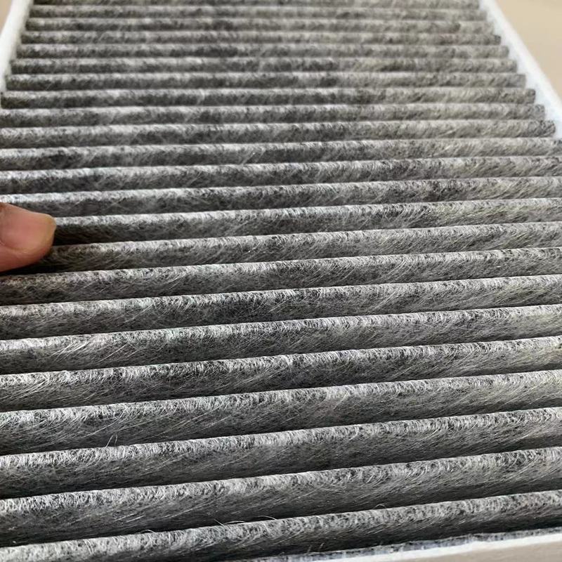 

64119237555 64116821995 Car Cabin Filter Air For BMW F20 F22 F30 F31 F32 F34 F36 116d 220i 320d 328i 330d 435i Activated Carbon