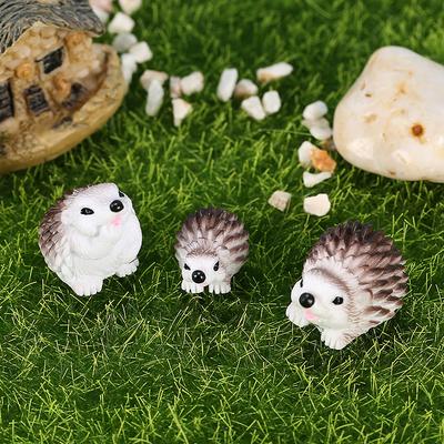 Ev Dekoru – Dekoratif Terraryumlar