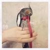 Grey Parrot and Macaw Outdoor Training Flying Leash Harness