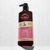 Dr.Groot Multi-Perfection Haarausfallpflege Shampoo für Trockenes Haar, 400ml