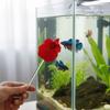 Lange Angelrute mit Köder Bunte Fischförmige Betta Trainingsrute Harzfisch Interaktives Spielzeug Aquarien Zubehör