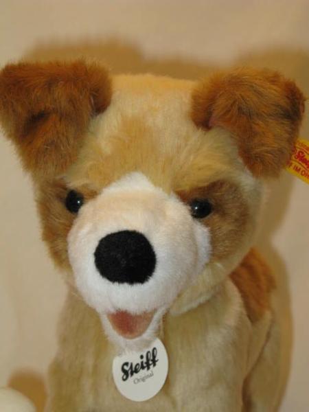 Steiff New the Cute Dog Holding a 2017 Release "Rico, Bone" 25cm
