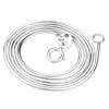 European and American Snake Bone Chain Necklace: Gold Clavicle Choker for Women, Internet Trend Layering Versatile Jewelry.