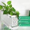 Yousheng Aquarienpflanzenhalter mit Haken Aquarienpflanzenständer Aquarienpflanzbecher Hydroponischer Korb für die Aquarienpflanzenzucht