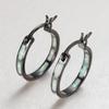 Shine hot-selling new simple earrings with diamonds, personalized temperament earrings, high-end design jewelry
