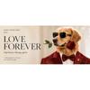 Hot Sale S15 Pet Paw Print Frame Kit for Dogs Cats No-Mess Inkless Print Pad DIY Footprint Keepsake 5 Inch Pet Memorial Gift