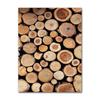 Abstract Wood Log Tree Rings Posters Wood Grain Rings Tree Ring Radial Lines Farmhouse Canvas Painting Pictures Home Decor