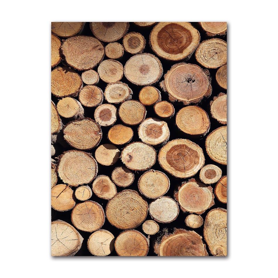 Abstract Wood Log Tree Rings Posters Wood Grain Rings Tree Ring Radial Lines Farmhouse Canvas Painting Pictures Home Decor