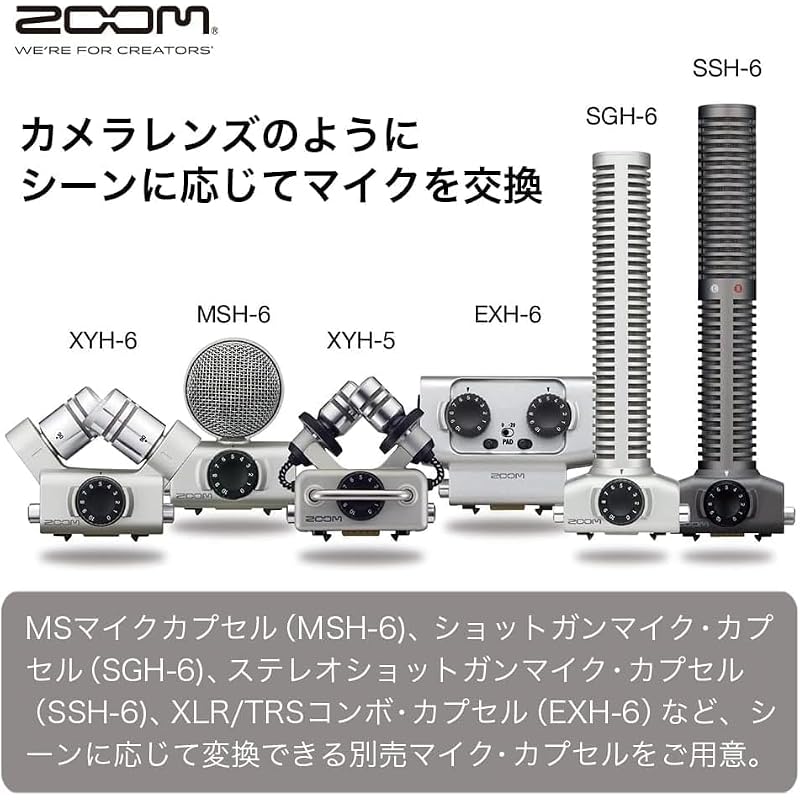 ZOOM H5 Handy Recorder, Interchangeable Microphone, 4-Track Recording, ASMR