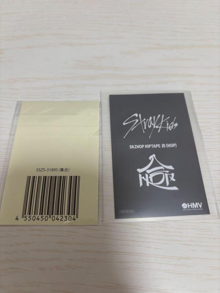 [USED] Stray Kids Mesh Tote Bag (opened)