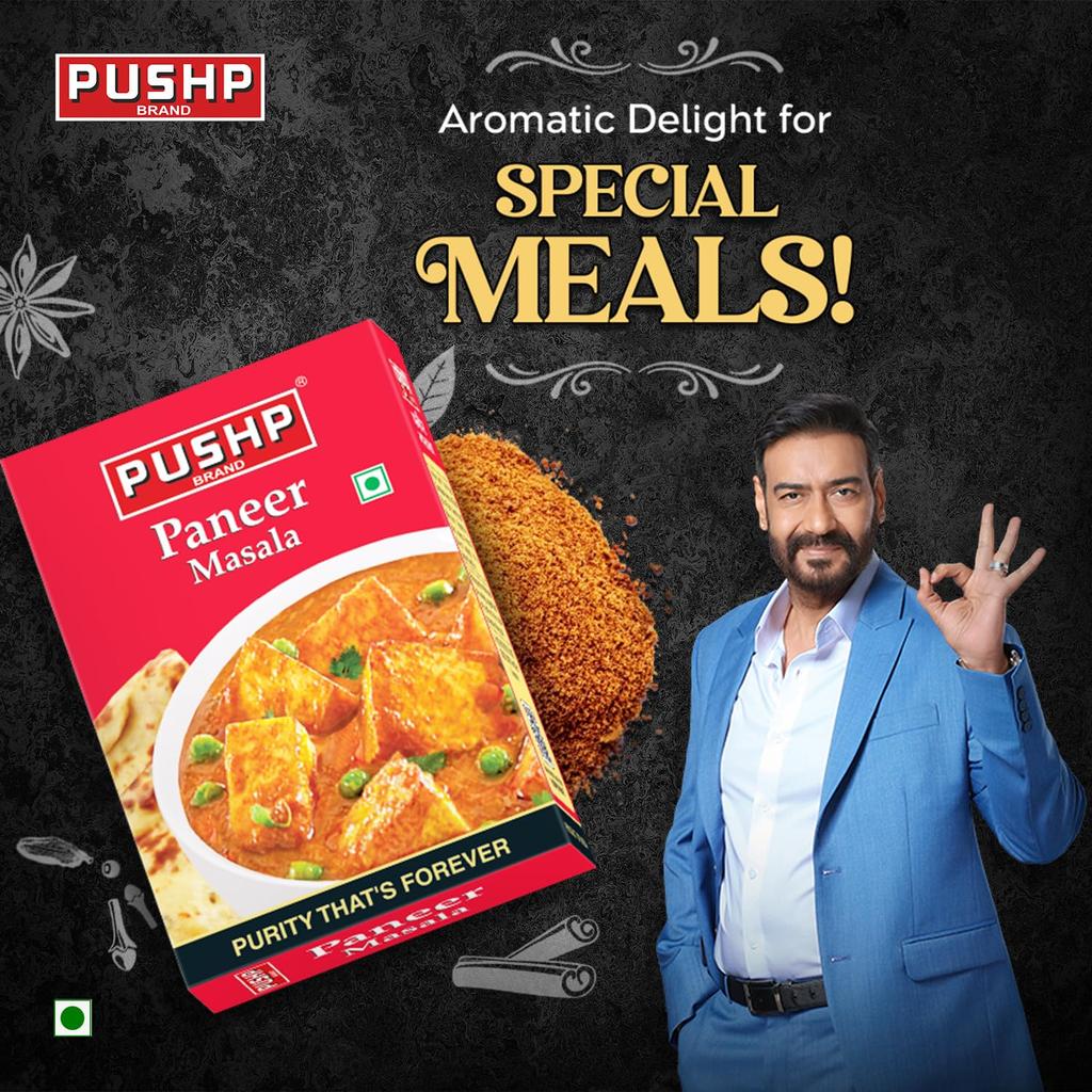 Pushp Paneer Masala Premium Indian Spice Blend For Authentic Vegetable Dishes Pack Of 1 100g Flavorful Cooking Seasoning