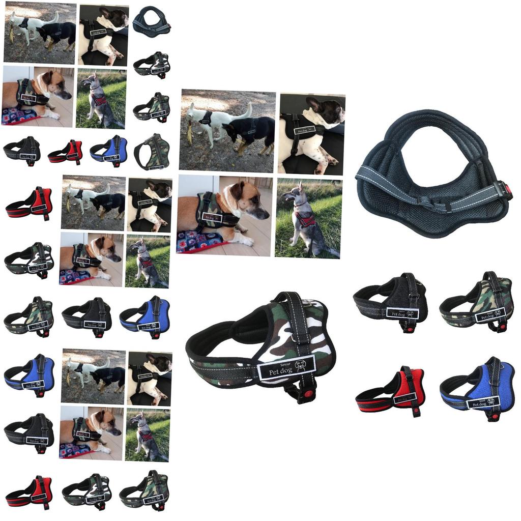 Premium Quality Pet Chest Harness And Leash For Medium To Large Dogs Adjustable Durable And Stylish