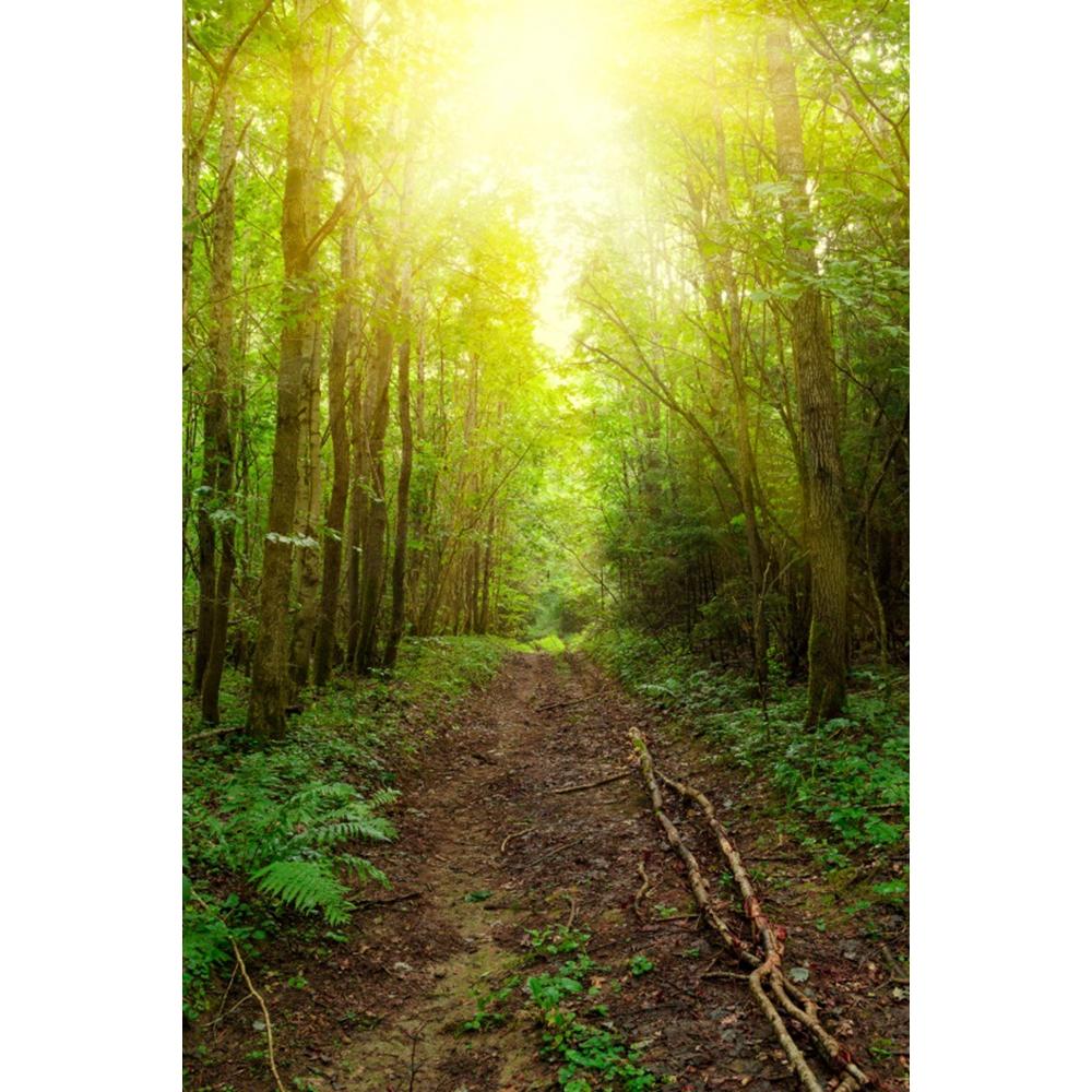 Spring Natural Scenery Forest Photography Backdrop Tropical Jungle Green Forest Tree Adventure Baby Portrait Photo Background