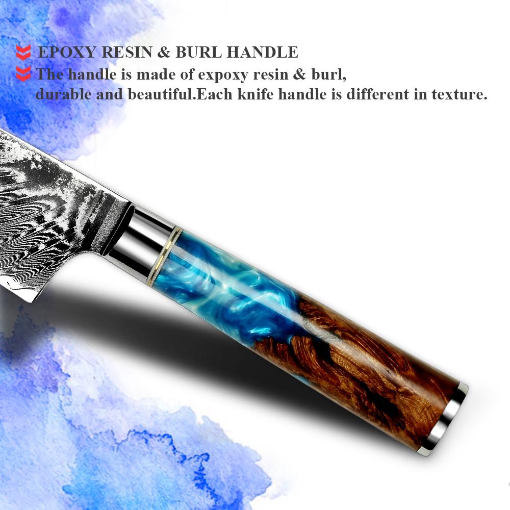Amber Hot Selling 67-Layer Damascus Steel Kitchen Chef Knife Set Super Sharp Blade 10Cr15CoMoV Core with Resin & Wood Handle