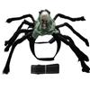 Spider and Skull Costume for Small to Medium Pets