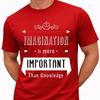 Imagination Is More Important Than Knowledge T Shirt Einstein Quote Graphic Tee