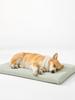 Summer Cooling Mat Four Seasons Universal Detachable Washable Easy To Clean Dog Mat Dog Cage Mat
