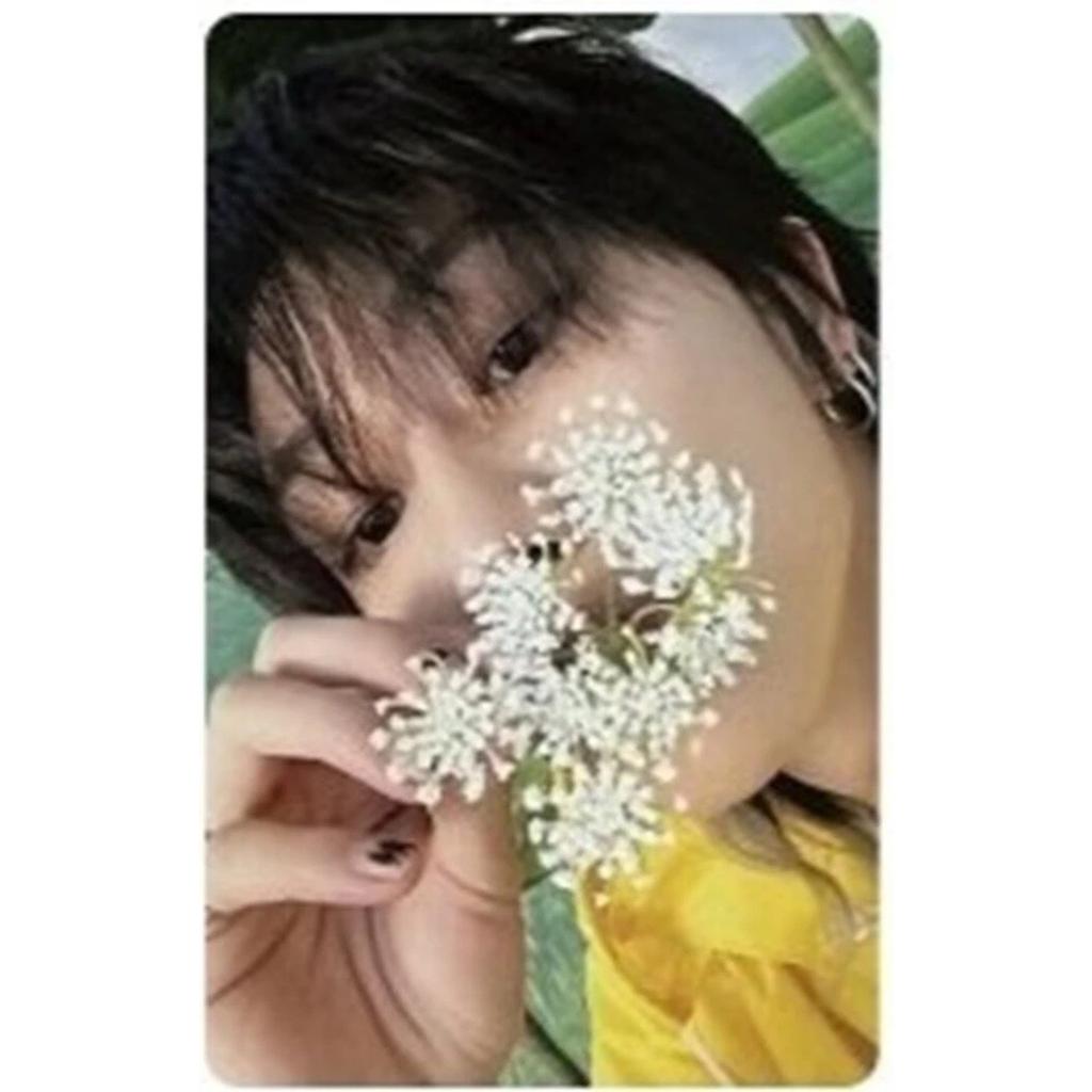 SEVENTEEN SEVENTEENTH HEAVEN STANDARD CARAT ver. CARTE PHOTO OFFICIELLE